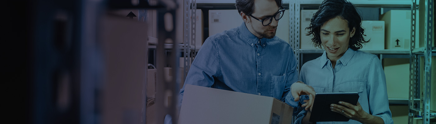 Profits accelerated online for a B2B e-com solution provider